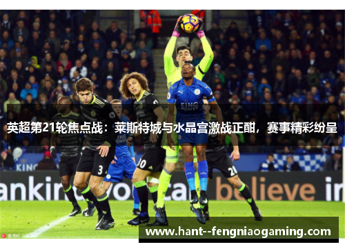 英超第21轮焦点战:莱斯特城与水晶宫激战正酣,赛事精彩纷呈 英超第21轮焦点战:莱斯特城与水晶宫激战正酣,赛事精彩纷呈