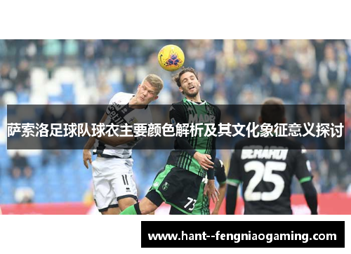 萨索洛足球队球衣主要颜色解析及其文化象征意义探讨