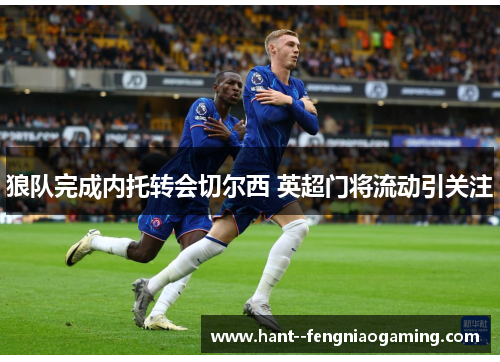 狼队完成内托转会切尔西 英超门将流动引关注