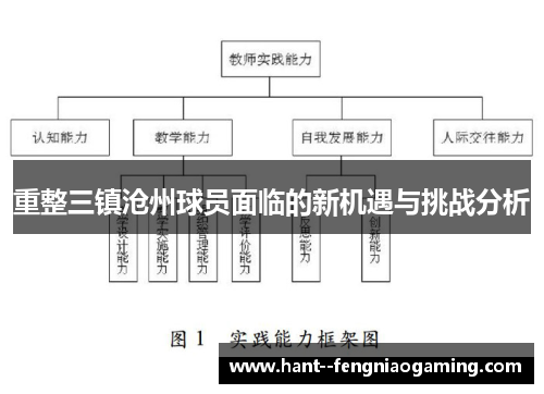 重整三镇沧州球员面临的新机遇与挑战分析