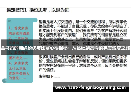 金书贤的训练秘诀与比赛心得揭秘：从基础到高峰的完美蜕变之路
