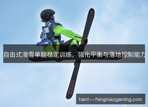 自由式滑雪单腿稳定训练，强化平衡与落地控制能力